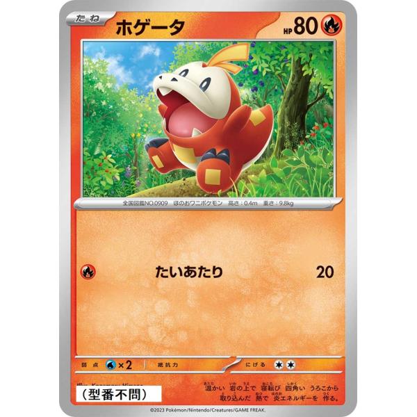 ホゲータ：プロフご確認下さい Pokemon ホゲータ(たいあたり)〔-〕【炎/たね】 〈*型番不問