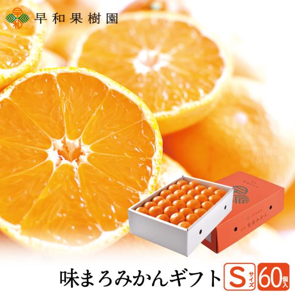 早和果樹園 お歳暮 みかん 有田みかん ギフト 味まろみかん Sサイズ 60