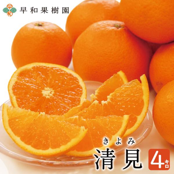 みかん810様　7点おまとめ専用ページ 早和果樹園 きよみ4kg みかん 清見 オレンジ 和歌山 有田
