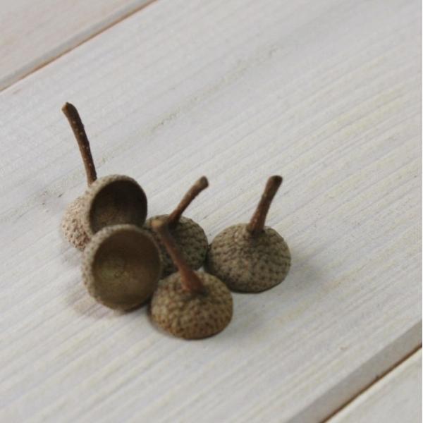 天然素材　どんぐりの帽子30個