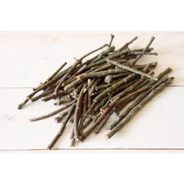 天然素材　小枝　木の枝　約50本