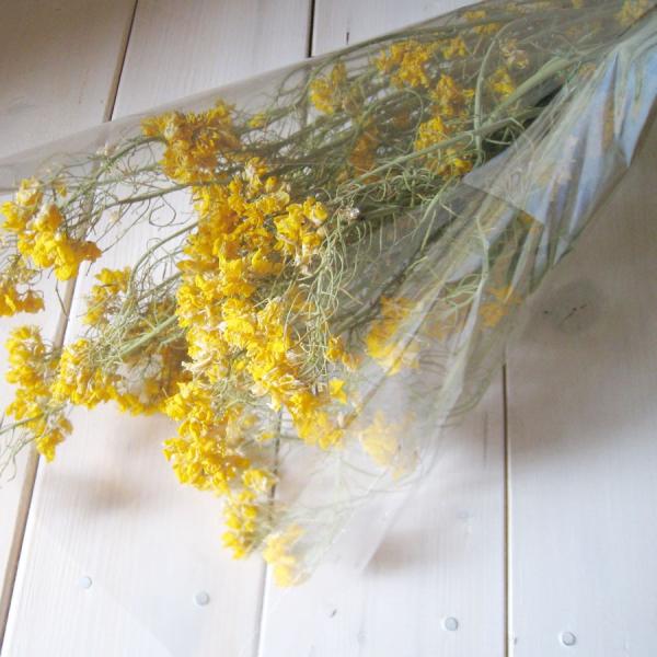 ドライフラワーnaturalリース　約30cm sozaiya-kingyo_nanohana