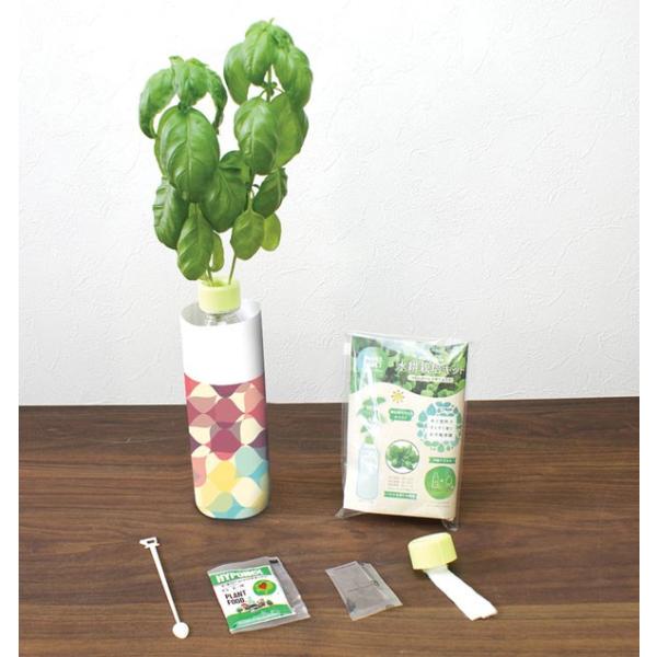 ペットボトル水耕栽培キット 100個以上にてご注文をお願いします 販促品 ノベルティ 景品 粗品 Buyee Buyee Japanese Proxy Service Buy From Japan Bot Online