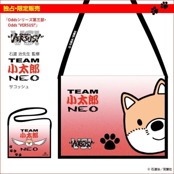 iƐE̔jwOdds "VERSUS!"x(Γn )u`[YNEOvTRbV