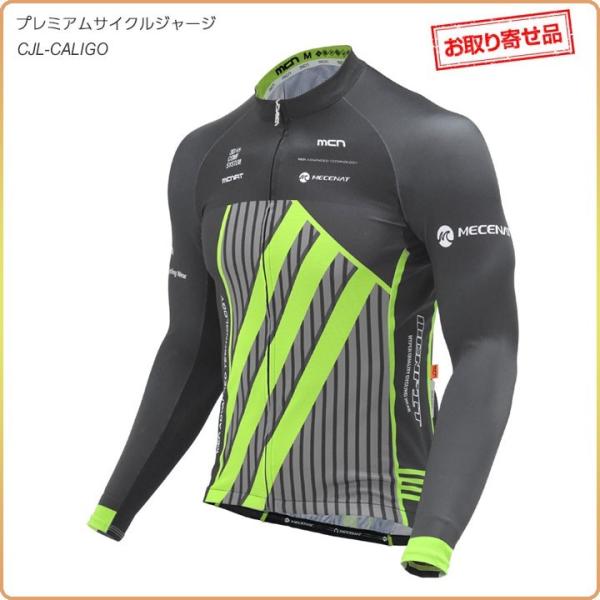 񂹌聄mcnv~ATCNW[WiOX[ujCALIGO