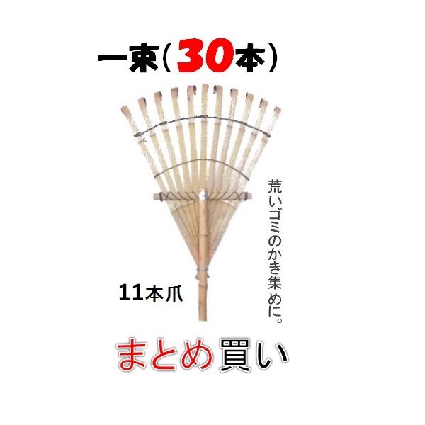 熊の爪　天然　17本セット Amazon.co.jp: 熊の爪 骨 標本 : おもちゃ