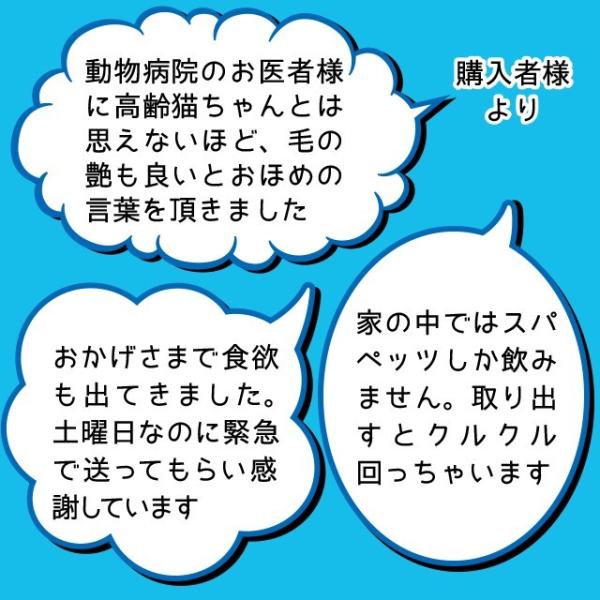ペット用水素水 お試しセット ミネラルゼロ スパペッツbig 550ml 3本セット 初回限定 犬 猫 水 アルミ パウチ 大型犬 多頭飼育 送料無料 Buyee Buyee Japanese Proxy Service Buy From Japan Bot Online