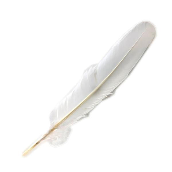 【商品概要】OBOE CLEANING FEATHER掃除用羽根・・・管体内側の水分をふき取る(掬い取る)ための道具。本番中や練習中など、すばやく水分を拭い去る事が求められる時に活躍します。汚れてきたら取り替えましょう。【商品説明】【商品詳...