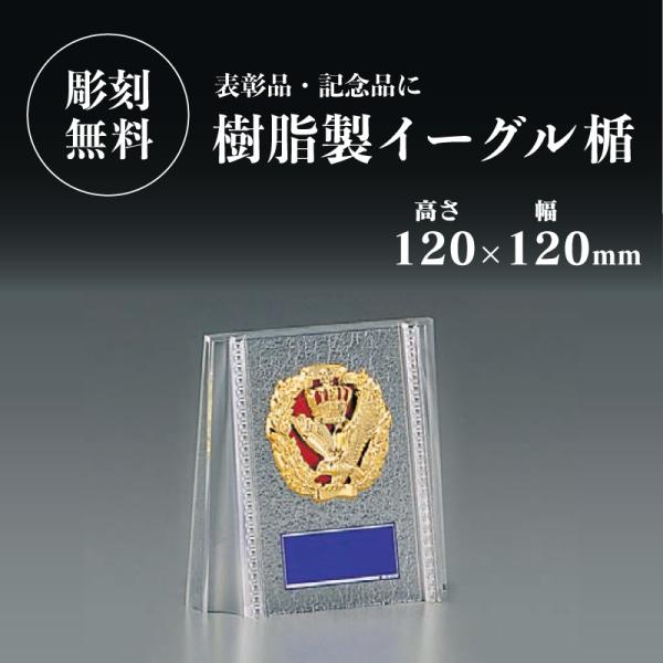 【サイズ】高さ12.0cm×幅12.0cm　重量約70g【材　質】板／樹脂製レリーフ／樹脂製【文字彫刻】文字彫刻は無料です。★各種イベントにおすすめ★囲碁／将棋／カラオケ／空手／グラウンドゴルフ／ゴルフパークゴルフ／ゲートボール／剣道／サッ...