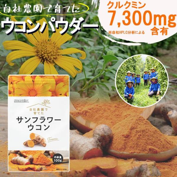 ベトナム 系列農園 栽培 スパイス 、 ターメリックパウダー！クルクミン 含有量 約7,300mg！(100gあたり)農薬を使用しない栽培方法で、強くたくましく育った ウコン を丁寧に粉末化しました。■ 品質情報 ■商品名　: ウコンパウダ...