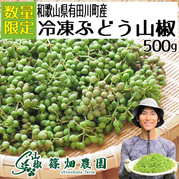2026年産 ぶどう山椒 実山椒 山椒の実 500g レシピ付き 冷凍便 篠畑農園 山椒 送料無料 SPANION 爆買