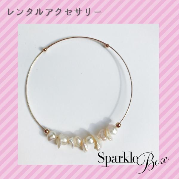 ■ご注意くださいこちらの商品はレンタル専用です。レンタル期間は発送日から10日間です。発送日から10日目までに付属の返却伝票にてご返却いただく必要がございます。返却方法の詳細はお買い物ガイドをご確認ください。■商品についてベビーパールがアク...