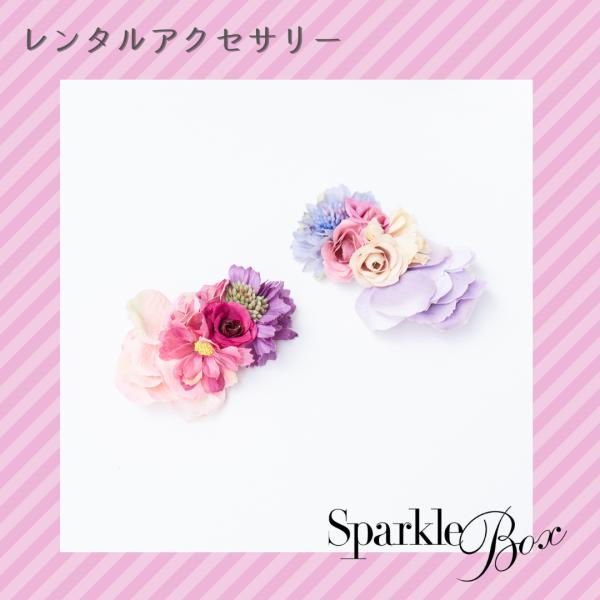 ■ご注意くださいこちらの商品はレンタル専用です。レンタル期間は発送日から10日間です。発送日から10日目までに付属の返却伝票にてご返却いただく必要がございます。返却方法の詳細はお買い物ガイドをご確認ください。■商品についてスモーキーカラーを...