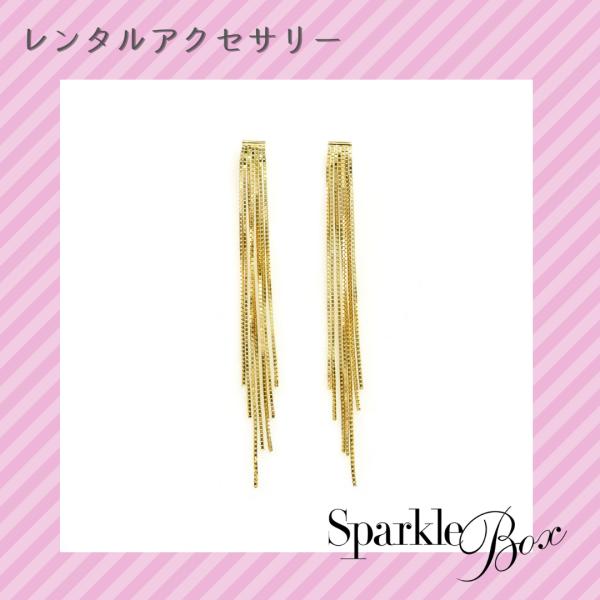 ■ご注意くださいこちらの商品はレンタル専用です。レンタル期間は発送日から10日間です。発送日から10日目までに付属の返却伝票にてご返却いただく必要がございます。返却方法の詳細はお買い物ガイドをご確認ください。■商品について長めのチェーンが華...