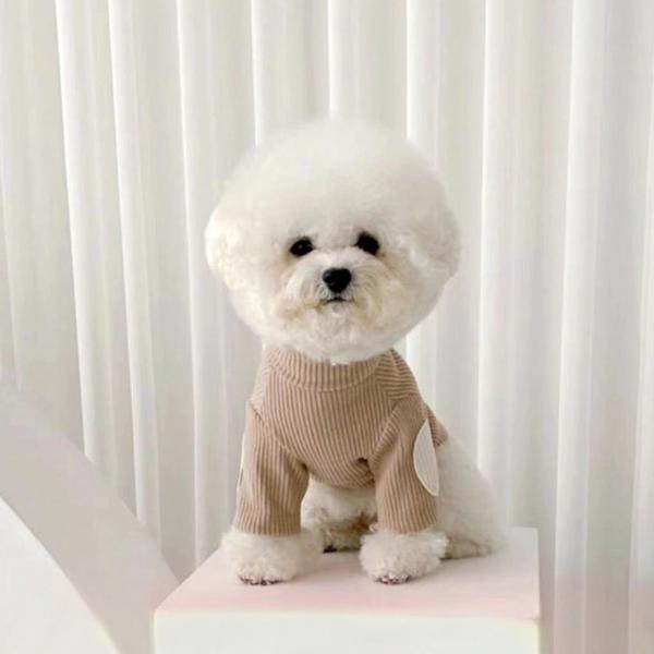 sparksstore_spkp0037_2_d_20250224214818