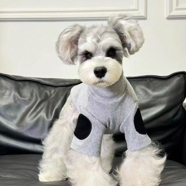 sparksstore_spkp0037_4_d_20250224214825