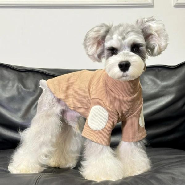 sparksstore_spkp0037_5_d_20250224214828