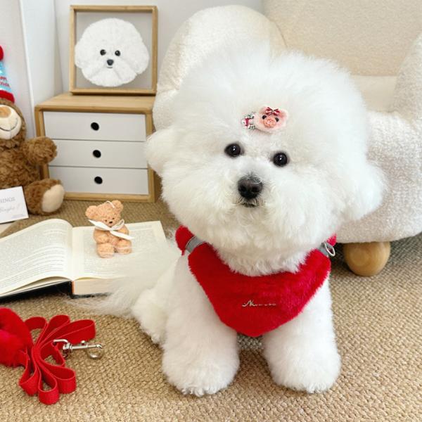 sparksstore_spkp0040_5_d_20251022212107