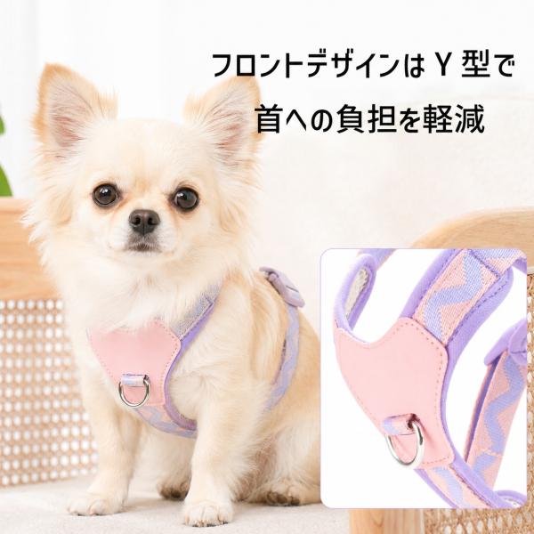 sparksstore_spkp0046_1_d_20260616144701