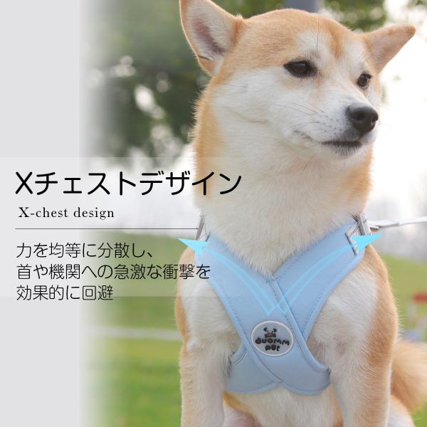 sparksstore_spkp0049_1_d_20260601193252