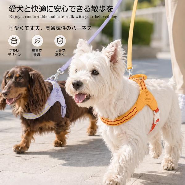 sparksstore_spkp0051_1_d_20260810234459