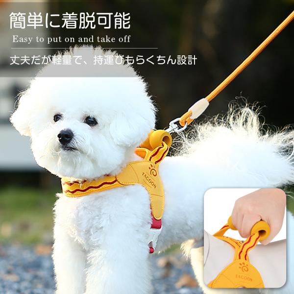 sparksstore_spkp0051_2_d_20260810234507