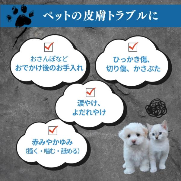 spashan-store_microcyn-ah-500_2_d_20250324105229