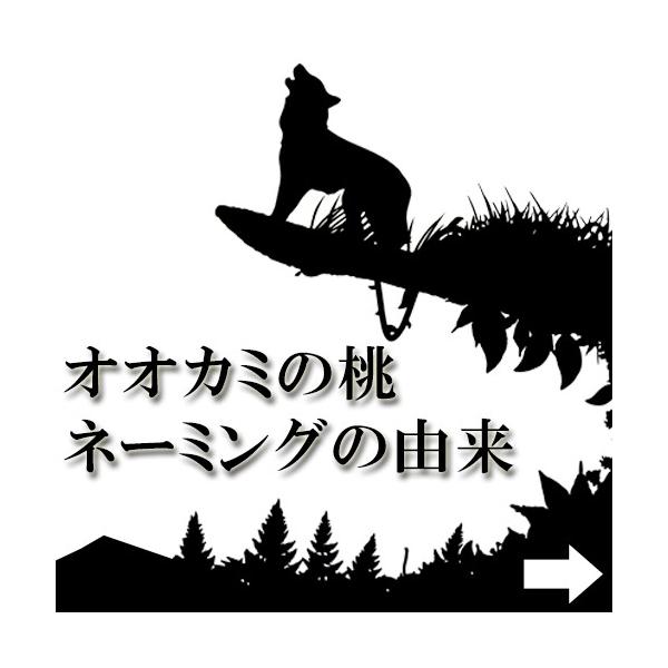 spashan-store_ookaminomomo-1_4