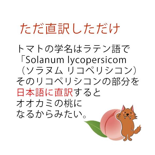 spashan-store_ookaminomomo-1_5