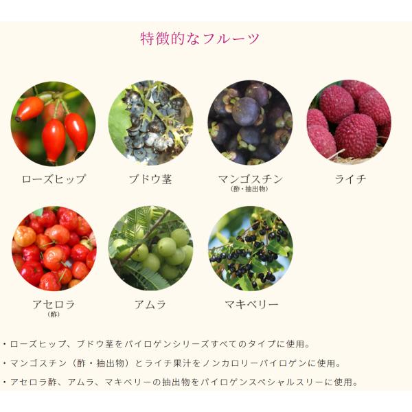 spashan-store_pairogen-6_2_d_20240702095934