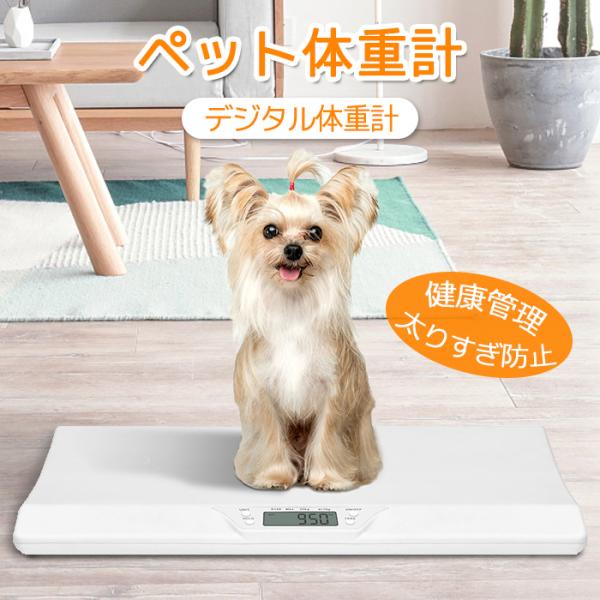 小型ペット体重計 デジタル 正確 ペット用 ペットスケール デジタル ペット体重計 ペットくん ペット君 はかり 猫 犬 うさぎ 軽い 薄い コンパクト ベビーペット 小型ペット体重計 デジタル 正確 ペット用 ペットスケール デジタル ペット体重計 ペットくん ペット君 はかり 猫 犬 うさぎ 軽い 薄い コンパクト ベビーペット