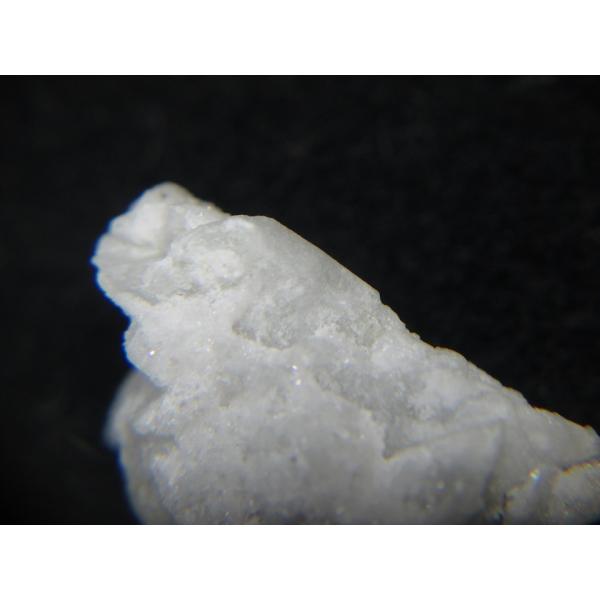 specimen-lapiz_aaa0155