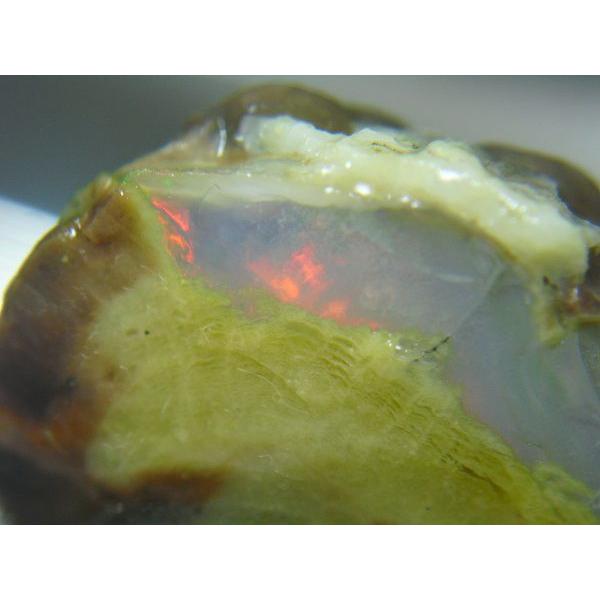 OPAL(�I�p�[��)���������0850