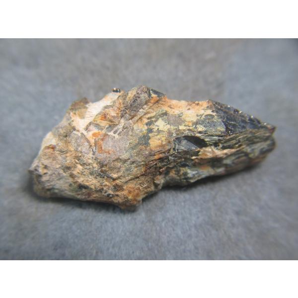 specimen-lapiz_aaa0925