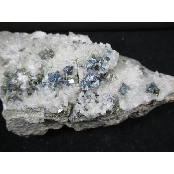 specimen-lapiz_aaa1152