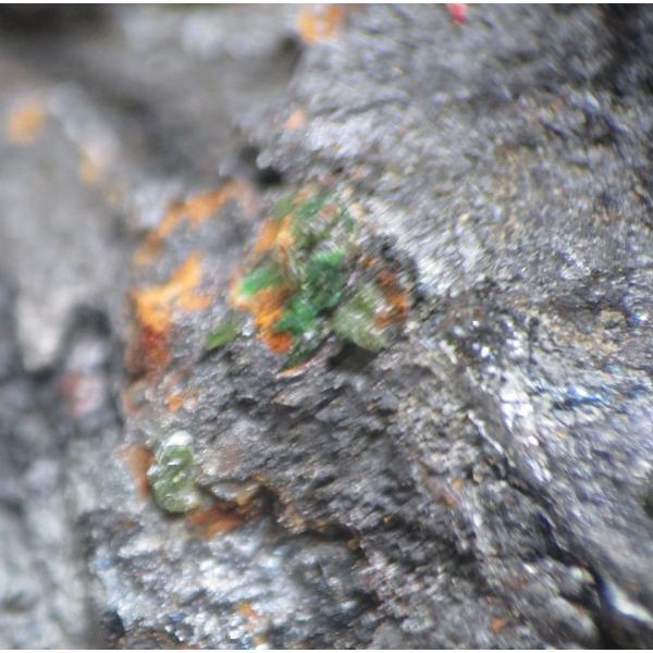 OLIVENITE(�I���[�u���z)�Ȗ،������z�R1404