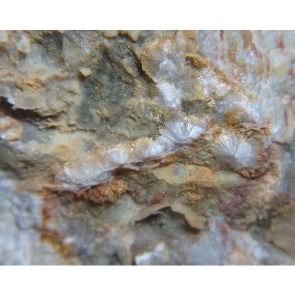 WAVELLITE(�␯��)���m���L�c1858