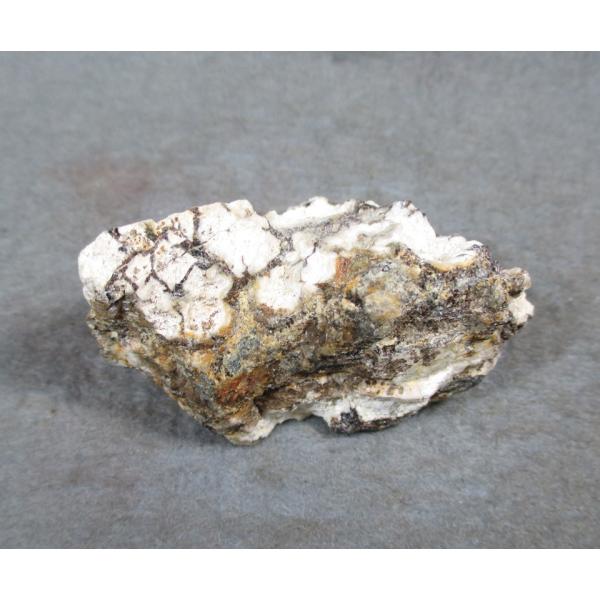 specimen-lapiz_aaa2087