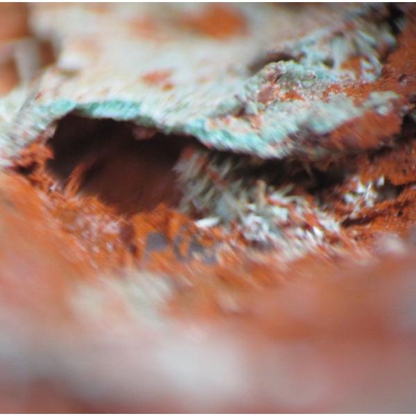 OLIVENITE(�I���[�u���z)���R������z�R0279