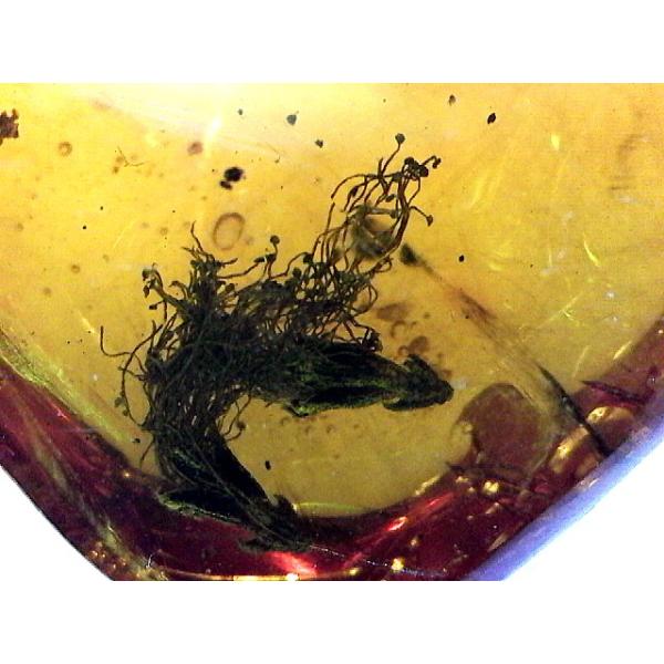 AJVẢԓ߃h~jJYblapiz-1025