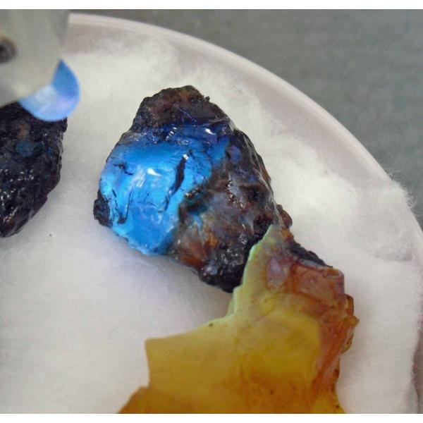 Amber()茧vblapiz-1387