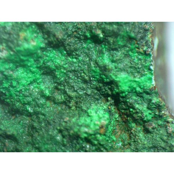 CONICHALCITE(コニカルコ石)山口県喜多平鉱山9181 : ラピス - 通販