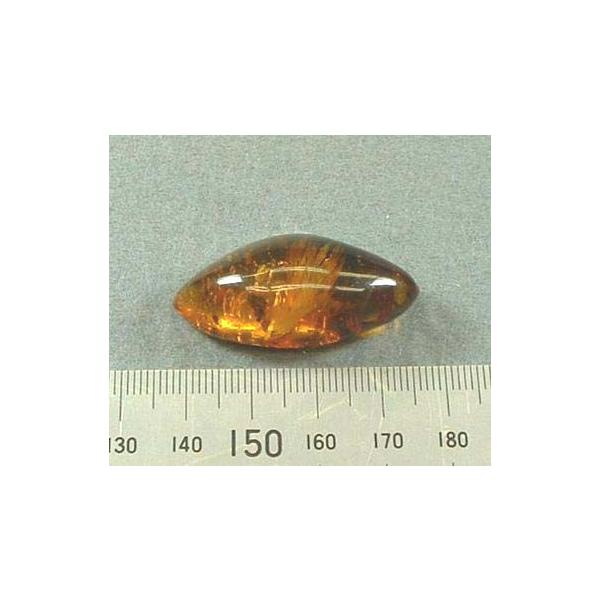 虫入り 琥珀」の人気商品一覧 | 安い商品を通販サイトから探す - 価格.com