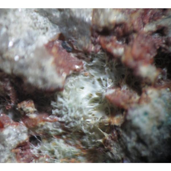 OLIVENITE(�I���[�u���z)�L������2690