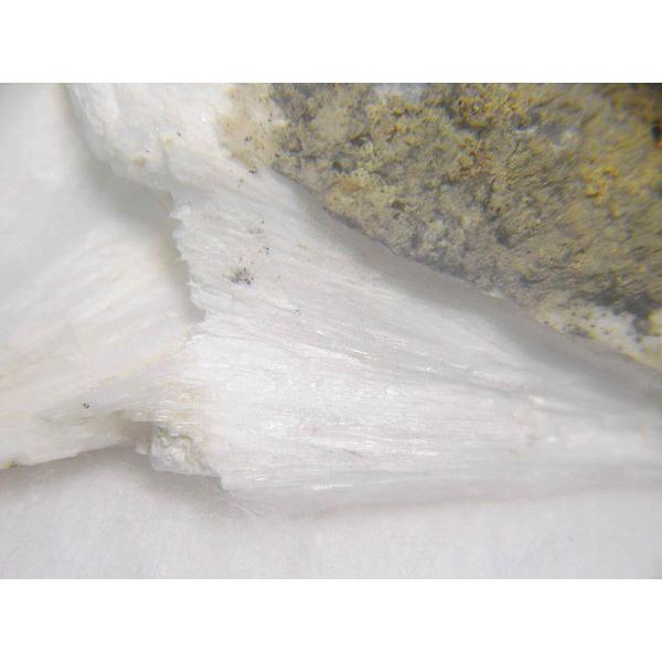 MESOLITE(������)���쌧���4233