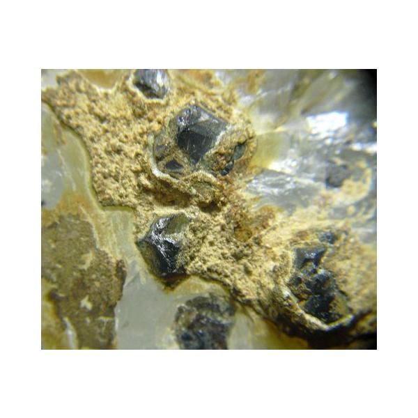 specimen-lapiz_lapiz4577