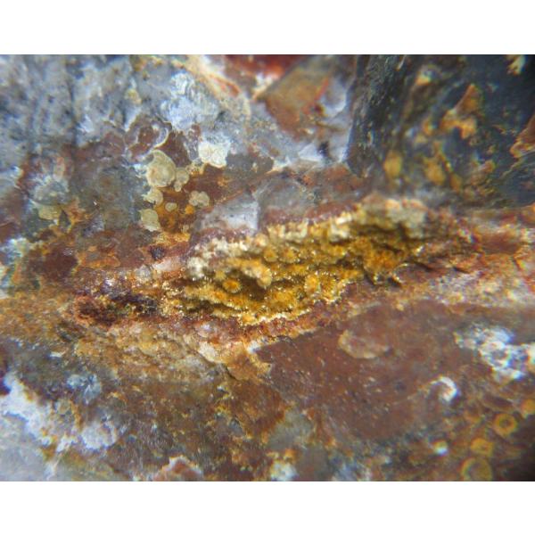 CACOXENITE(JRNZ)򕌌R5203