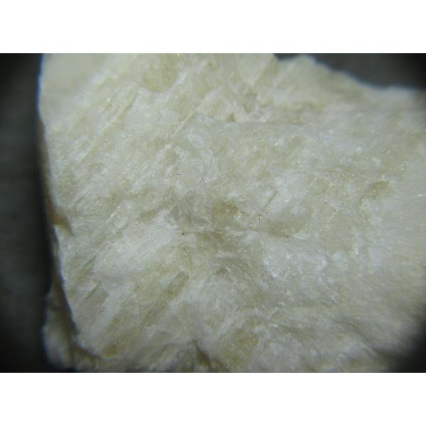 Onyx(IjbNX)OdRc5299