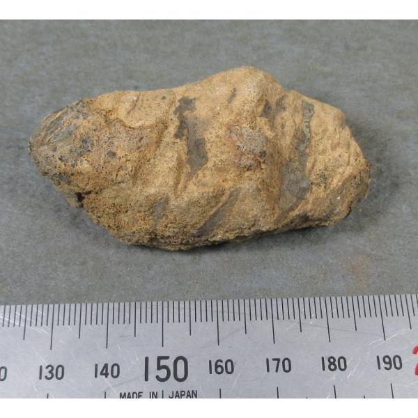 Glendonite(\)쌧z6454