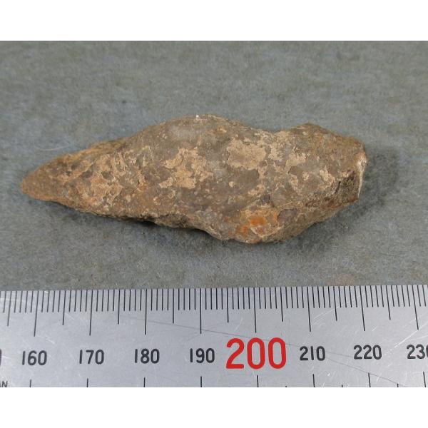 Glendonite(���\��)���쌧�z��6455